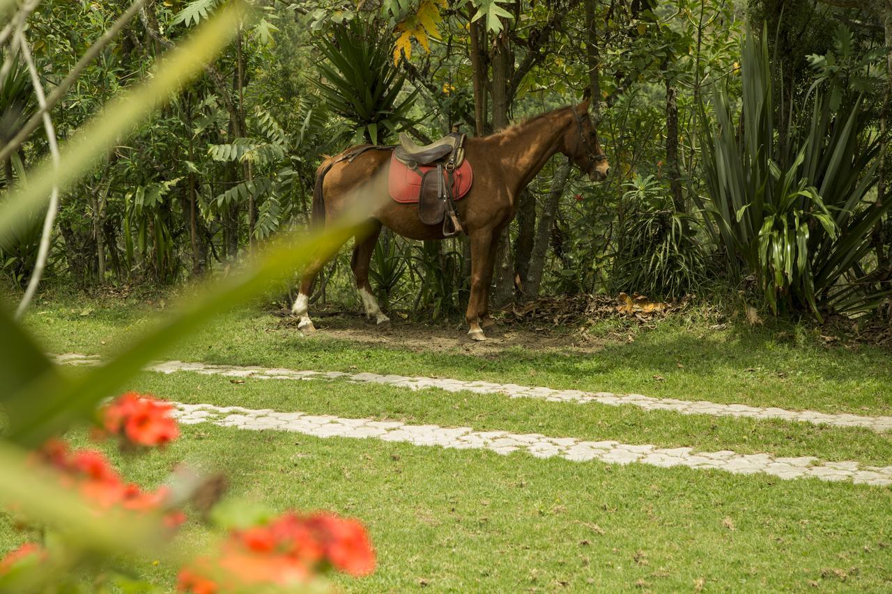 Estancia De La Campina Nono Exterior photo